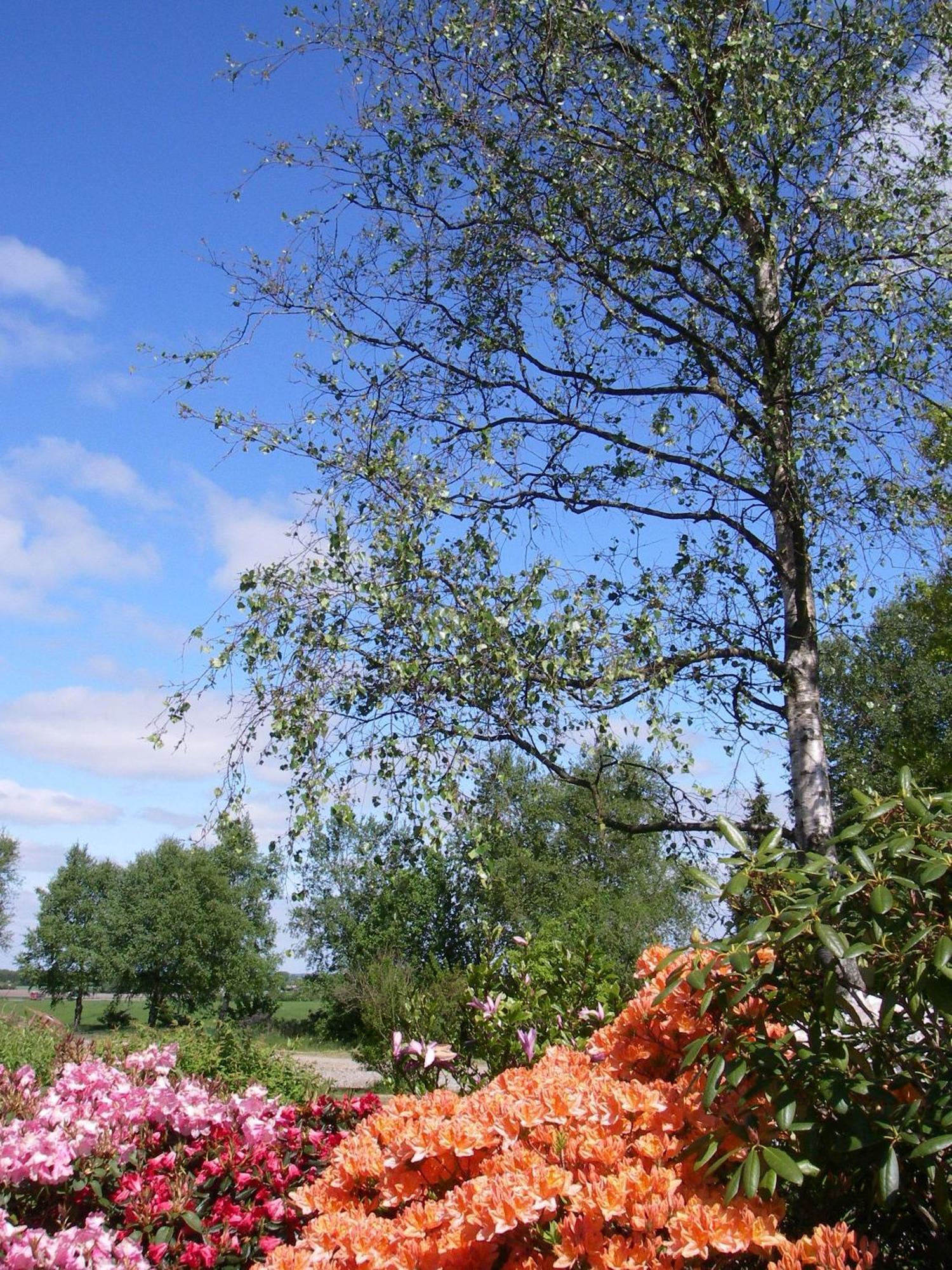 Mikkelborg Kro Rødding Extérieur photo
